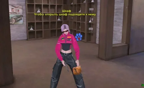 Продажа зимней луны и борика - Сумки и рюкзаки в Братск