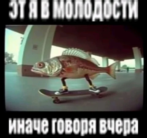 Продам Т-110 - Лодки и моторы в Братск