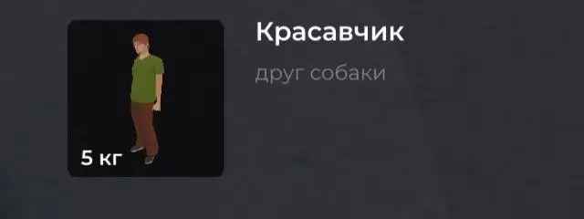 Продажа О/п, А/с и сумки с кешом - Животные в Братск
