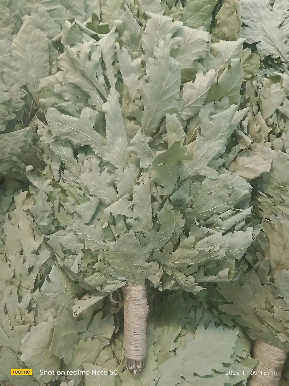 Веники и травы для бани и чая