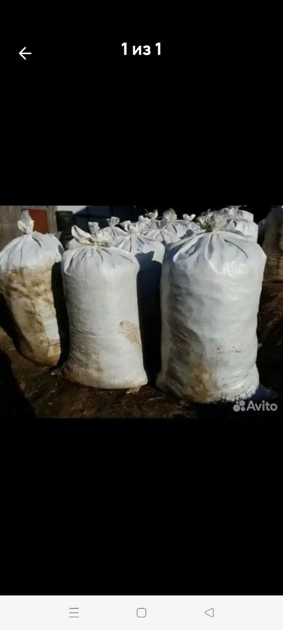 Продажа коровьего навоза