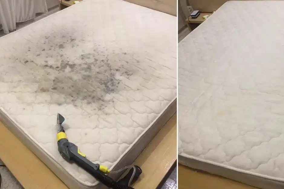 Выездная химчистка мебели, матрасов и ковров