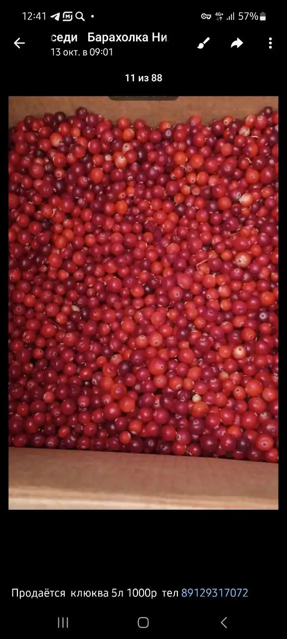 Продается клюква 5л