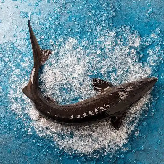 Свежая рыба и икра с доставкой на дом в Нижневартовске