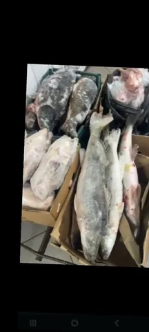 Продажа свежей рыбы и домашней птицы - Электроника в Нижневартовск