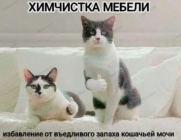 Химчистка мягкой мебели со скидкой к Новому году