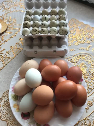 Продажа куриных и перепелиных яиц в Нижневартовске - Продукты питания в Нижневартовск