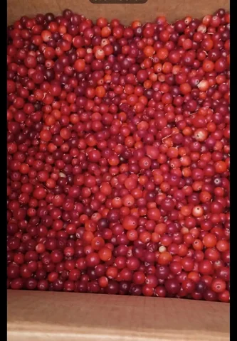 Продаётся клюква 5л - Продукты питания в Нижневартовск