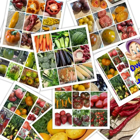 Коллекционные семена собственного производства - Спорттовары в Нижневартовск