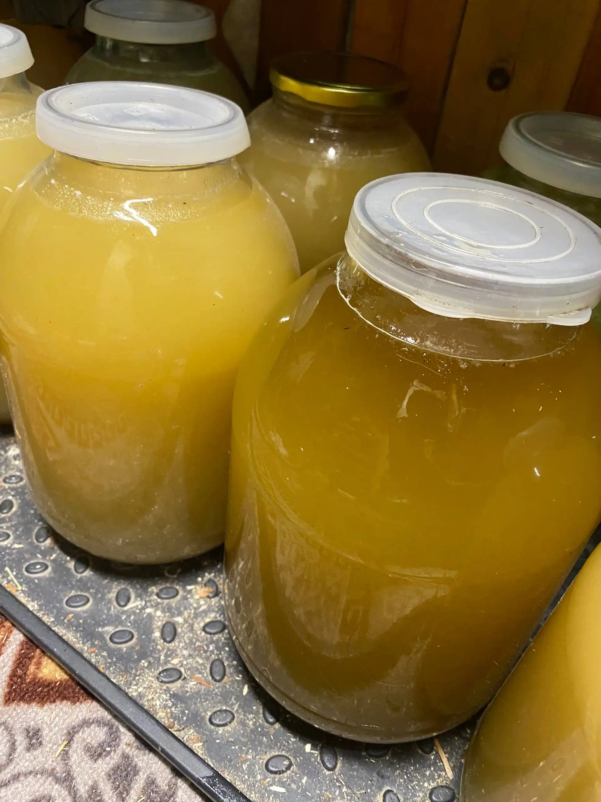 Мед из Пермского края урожая 2025 года - Продукты питания (Барахолка) в Нижневартовск