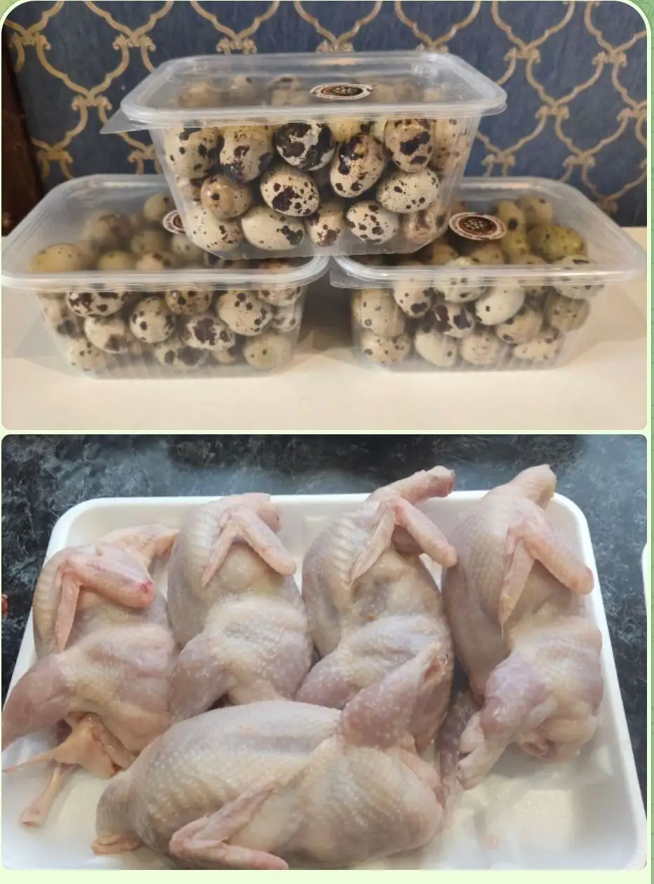 Свежемороженые домашние перепела и яйца в Нижневартовске - Продукты питания (Барахолка) в Нижневартовск