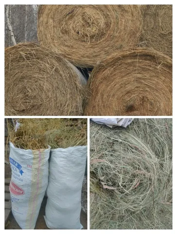 Продам сено разнотравье в мешках и рулонах - Кондитерские изделия в Нижневартовск