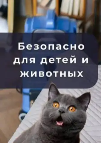 Профессиональная химчистка мягкой мебели на дому - Химчистка (Услуги) в Нижневартовск