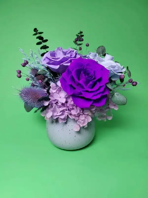 Композиция из стабилизированных цветов в гипсовом кашпо - Декор (Барахолка) в Нижневартовск