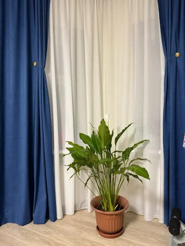 Шторы по распродаже - Двери в Нижневартовск