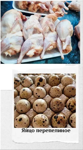Домашние свежемороженые перепела и перепелиные яйца - Двери в Нижневартовск