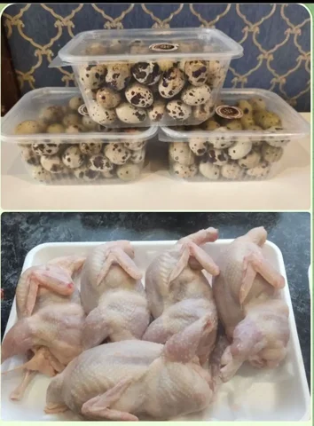 Продажа свежезамороженных тушек перепелов и перепелиных яиц - частное объявление в Нижневартовск