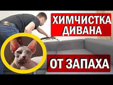 Выездная химическая чистка мягкой мебели - Химчистка (Услуги) в Нижневартовск