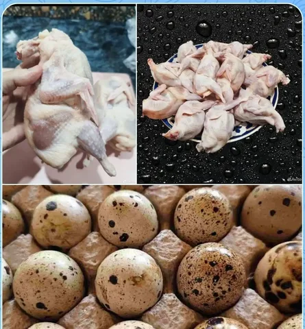 Продажа перепелов и перепелиных яиц - Посуда и кухонные принадлежности в Нижневартовск