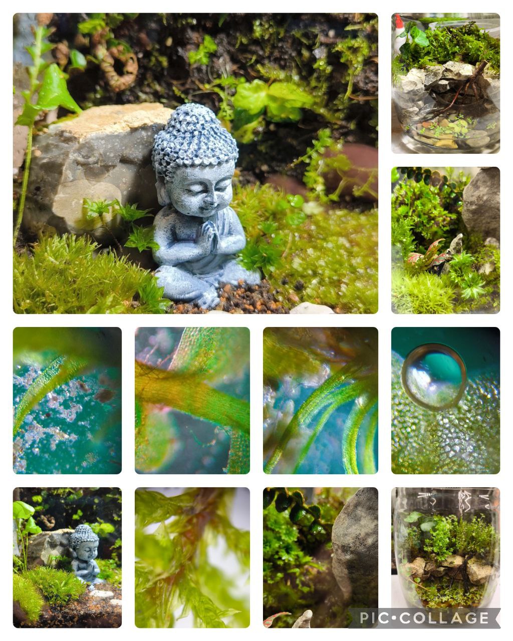 Мастер-класс по созданию мохариума в Арт-Студии ЧудоТворцы - Хобби и отдых в Севастополь