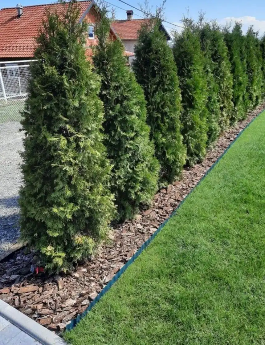 Сосновая кора для ландшафта и защиты растений - Садоводство (Для дома и дачи) в Севастополь