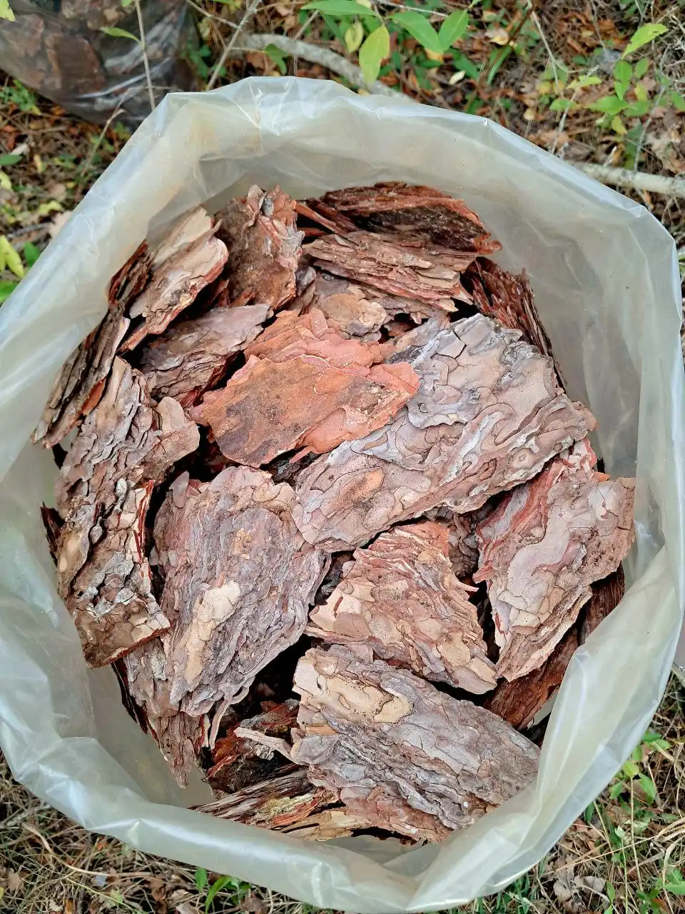 Сосновая кора для защиты растений и ландшафтного дизайна - Садоводство (Для дома и дачи) в Севастополь