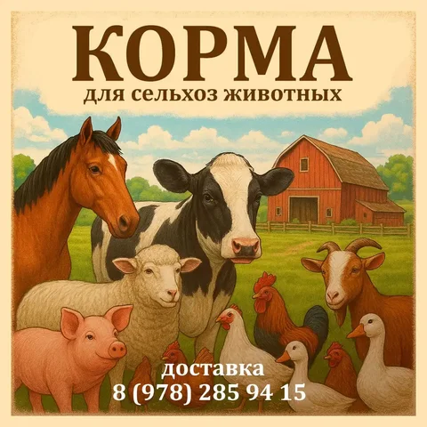 Корма для сельхоз животных с доставкой в Севастополе - частное объявление в Севастополь