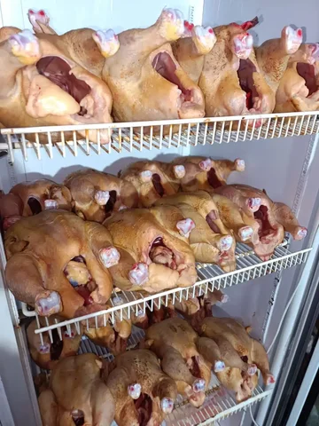 Домашняя курица бройлер - частное объявление в Севастополь