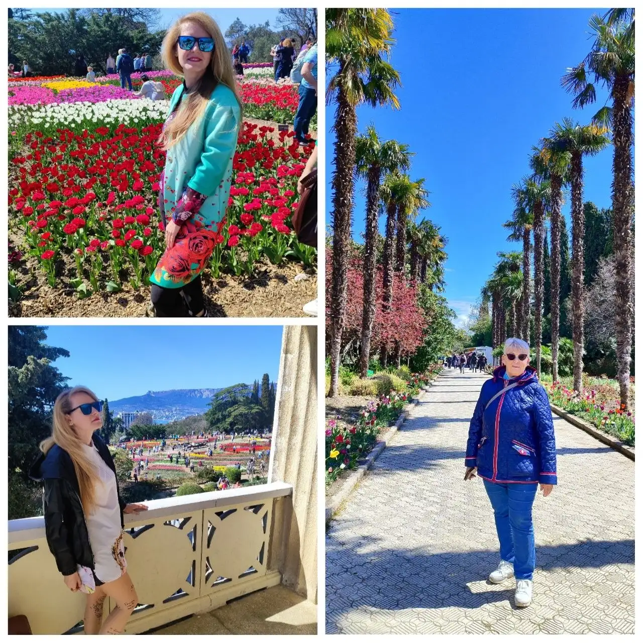 Парад тюльпанов в Никитском ботаническом саду с поездкой в Алушту - Экскурсии (Хобби и отдых) в Симферополь