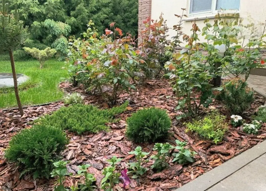 Садовая сосновая кора для сада - Сад и огород (Для дома и дачи) в Евпатория