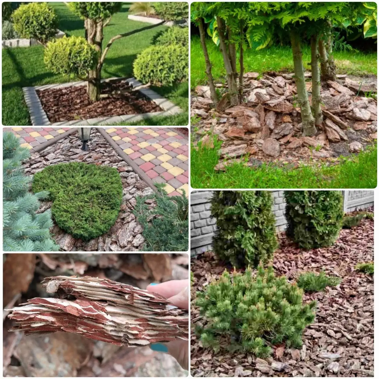 Садовая сосновая кора для ландшафта - Сад и огород (Для дома и дачи) в Евпатория