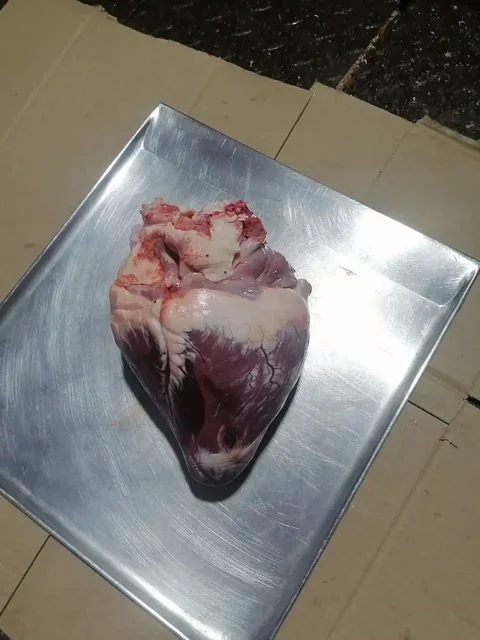 Продажа ливера говяжьего комплекта - Разное в Пенза