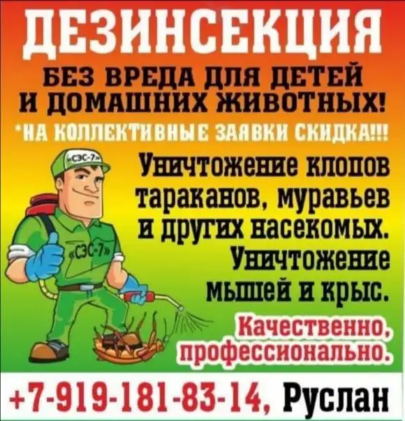 Уничтожение насекомых и грызунов с выездом