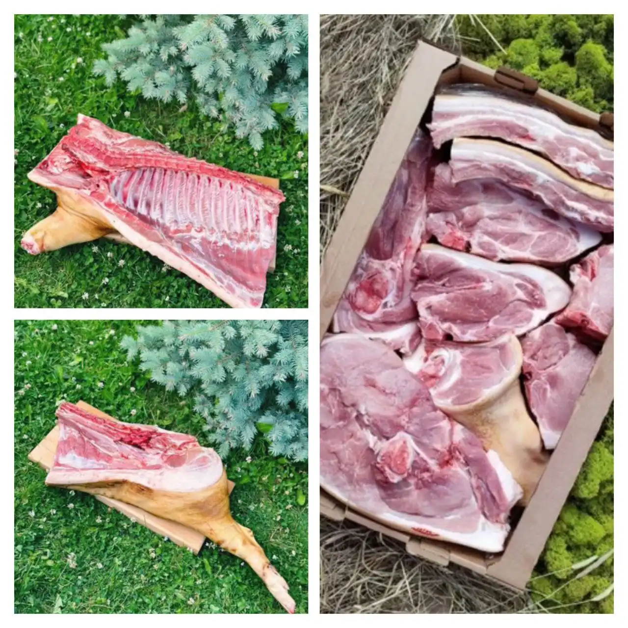 Продажа свинины с доставкой - Продукты питания (Барахолка) в Пенза