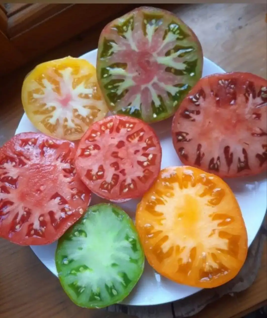 Продажа сортовых томатов - Семена растений (Хобби и отдых) в Пенза