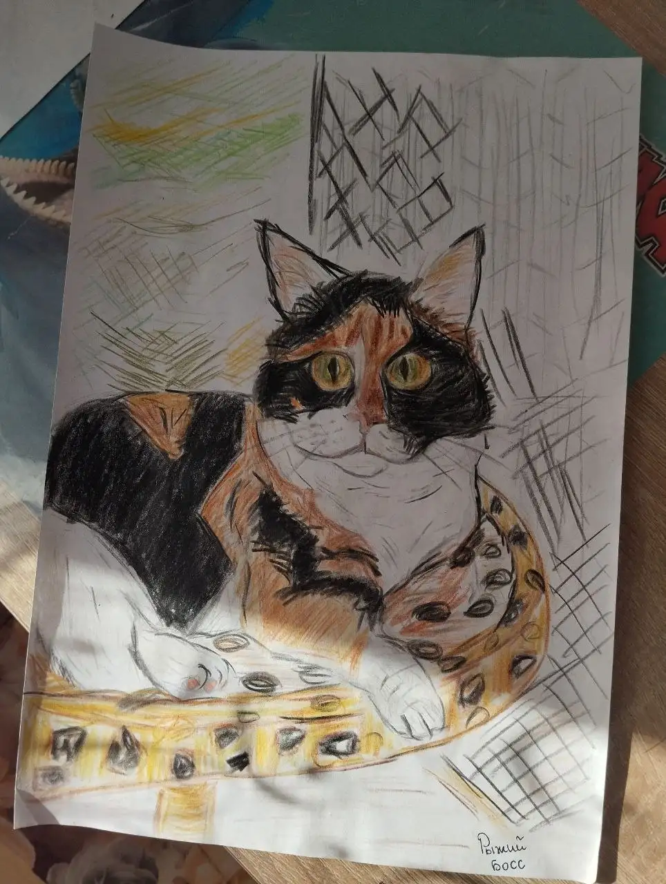 Портрет питомца - Портрет питомца (Хобби и отдых) в Пенза