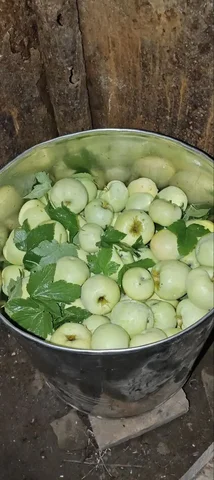 Яблоки моченые Антоновка - Барахолка в Пенза