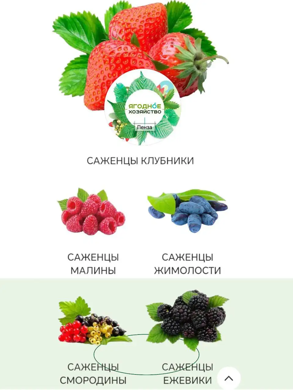 Предварительные заказы на саженцы на весну 2026 - Садоводство (Хобби и отдых) в Пенза