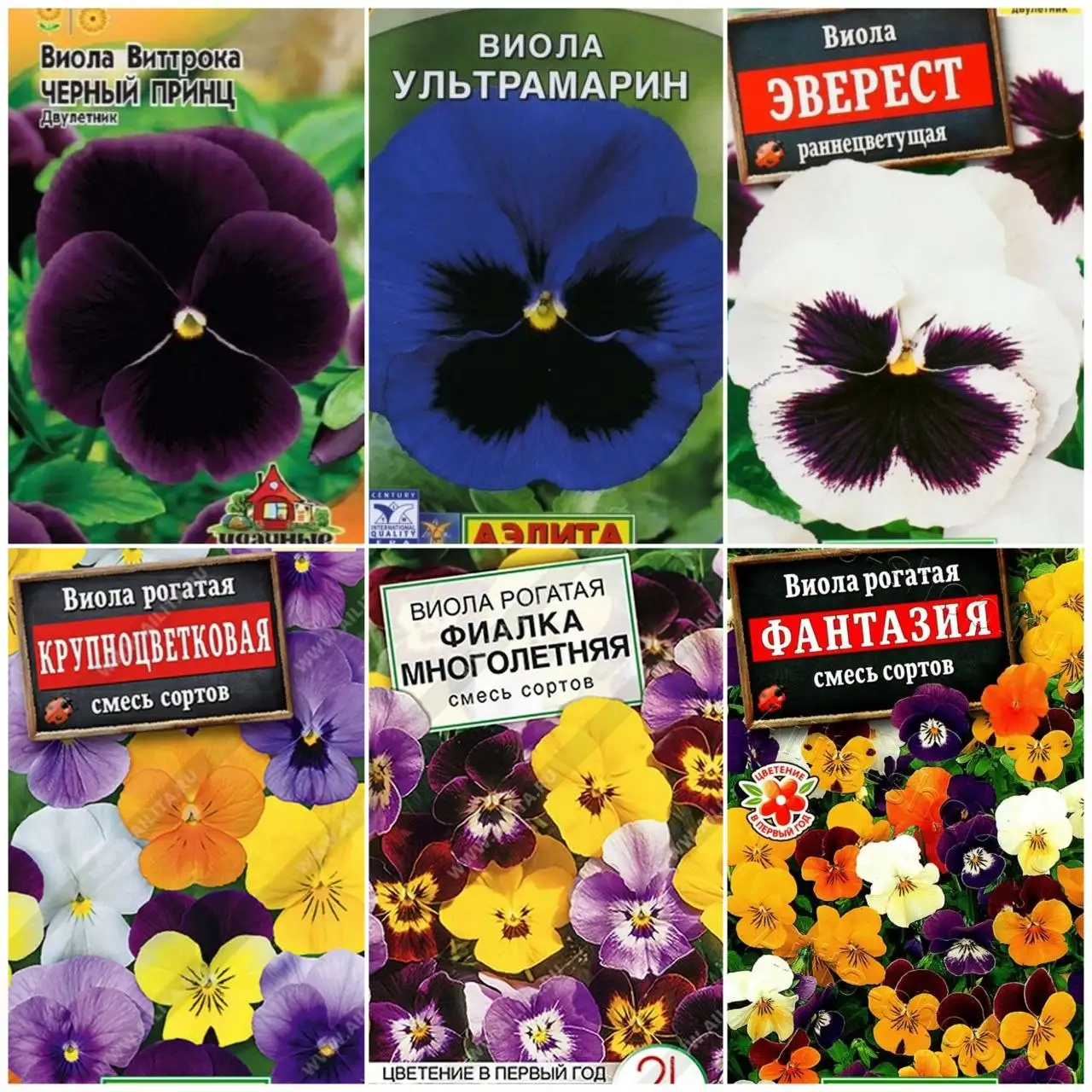 Рассада виолы в стаканчиках - Растения (Хобби и отдых) в Пенза