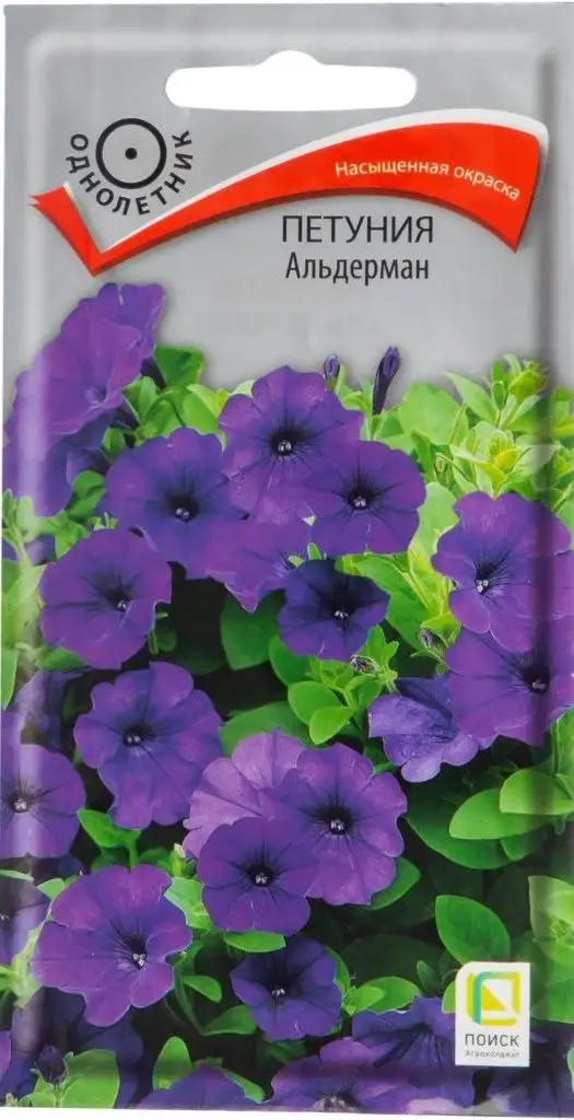 Рассада в стаканчиках: Гвоздика шабо, Перец сладкий, Петуния - Садоводство (Хобби и отдых) в Пенза