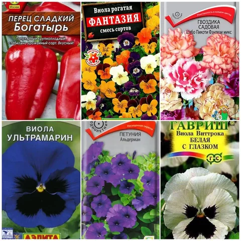 Продажа рассады в стаканчиках - Растения/рассада в Пенза