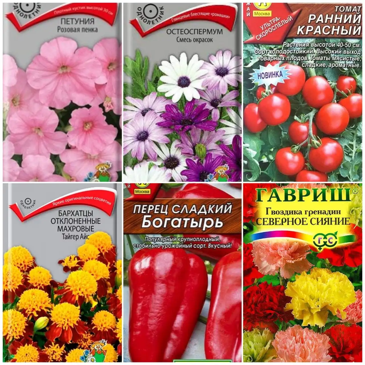 Рассада цветов и овощей в стаканчиках - Растения и рассада (Для дома и дачи) в Пенза