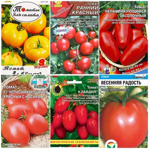 Крепкая рассада томатов в стаканчиках - Для дома и дачи в Пенза