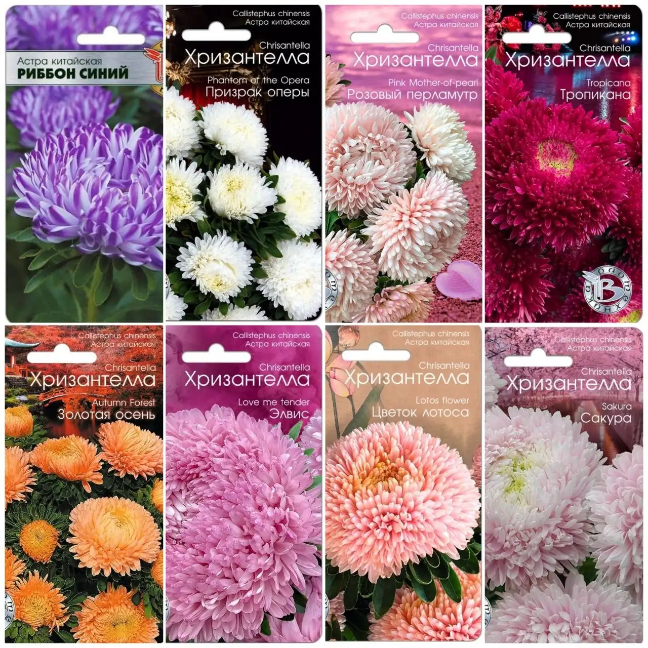 Продажа рассады в стаканчиках - Растения/Саженцы (Хобби и отдых) в Пенза