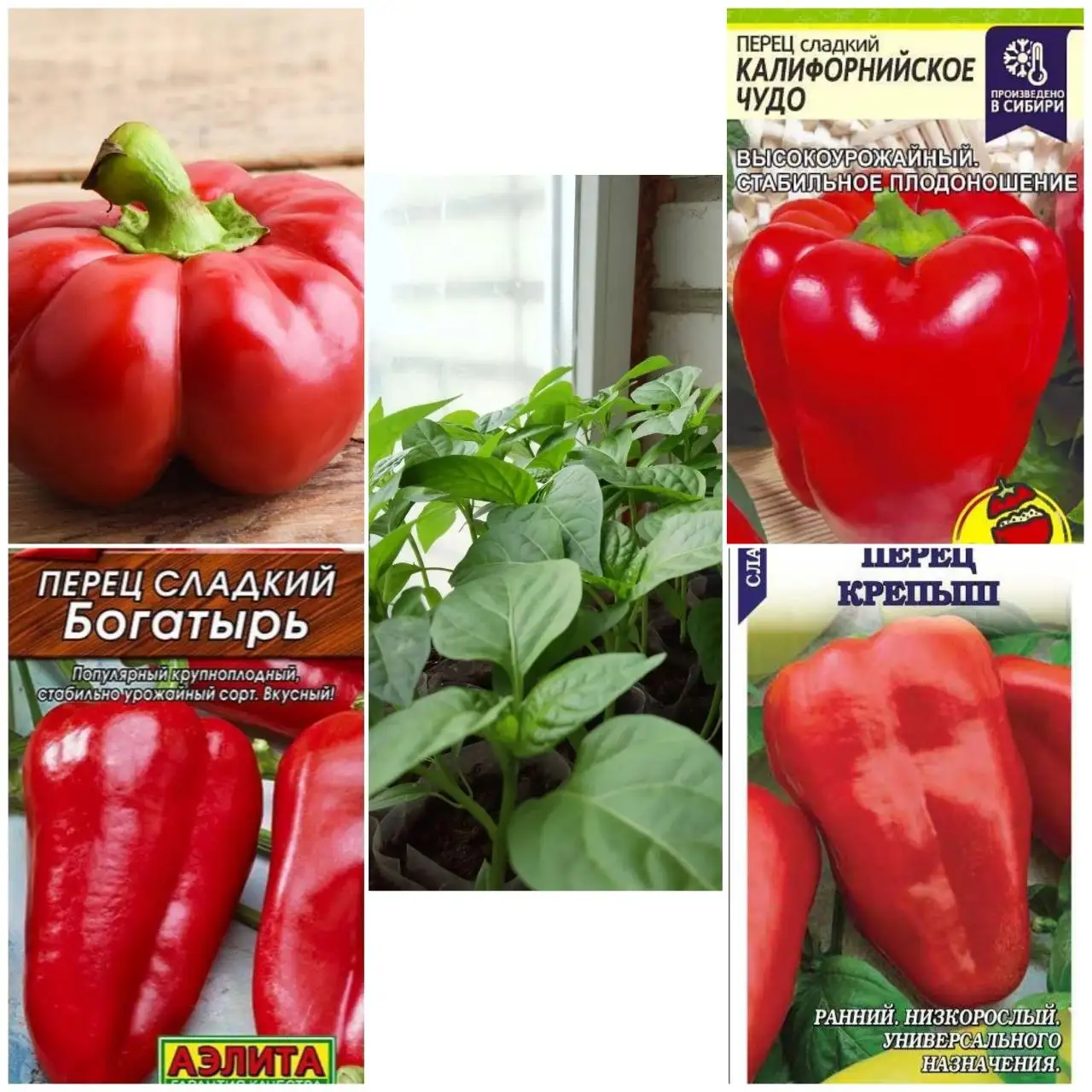 Рассада перца в стаканчиках - Рассада (Для дома и дачи) в Пенза