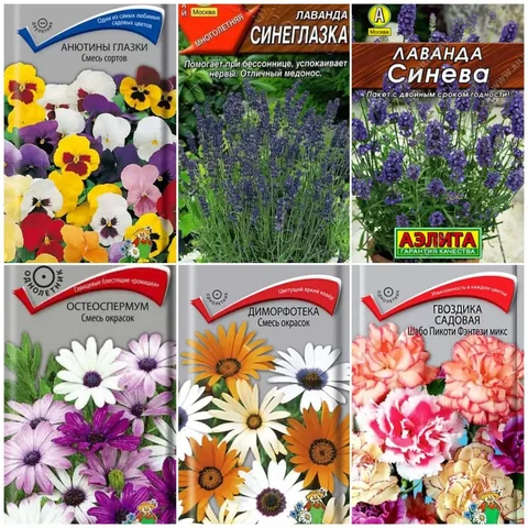 Рассада цветов в стаканчиках - Рукоделие в Пенза