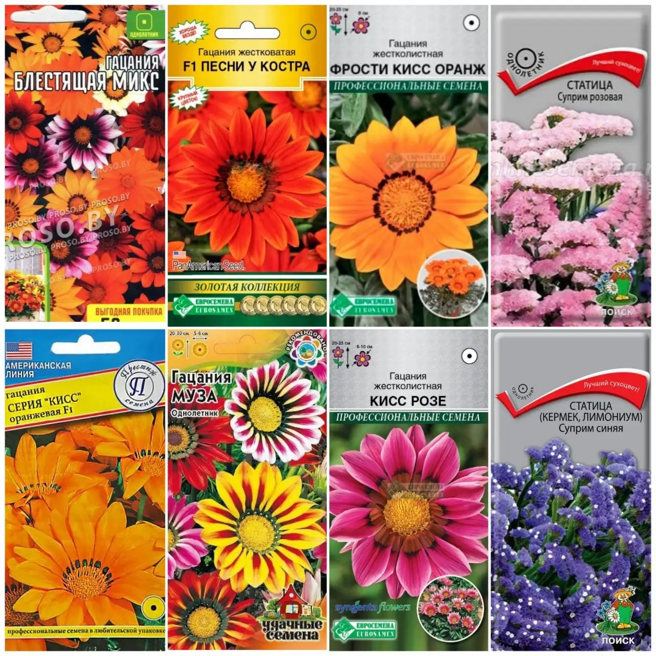 Продажа рассады в Пензе - Растения (Хобби и отдых) в Пенза