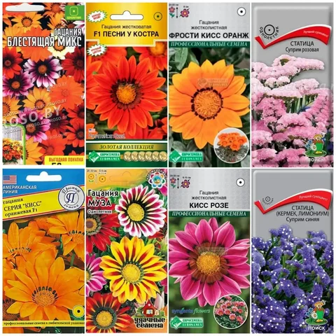 Продажа рассады в Пензе - частное объявление в Пенза