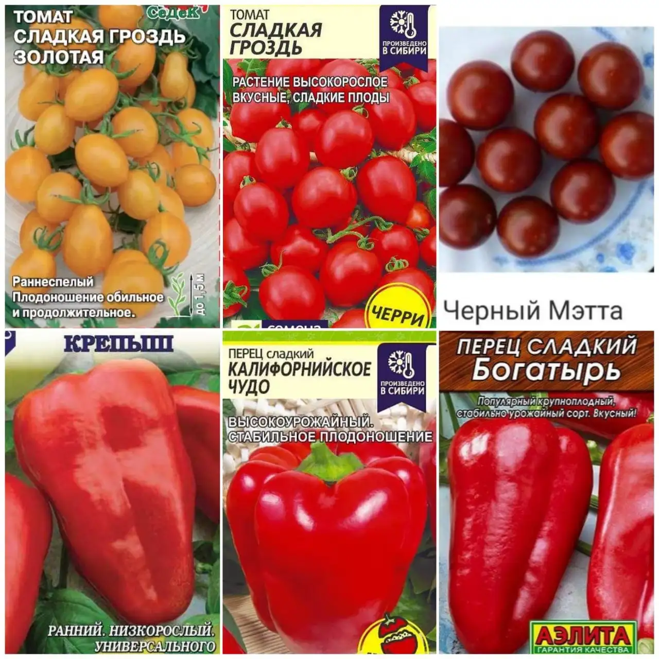 Продажа рассады в стаканчиках - Рассада (Для дома и дачи) в Пенза