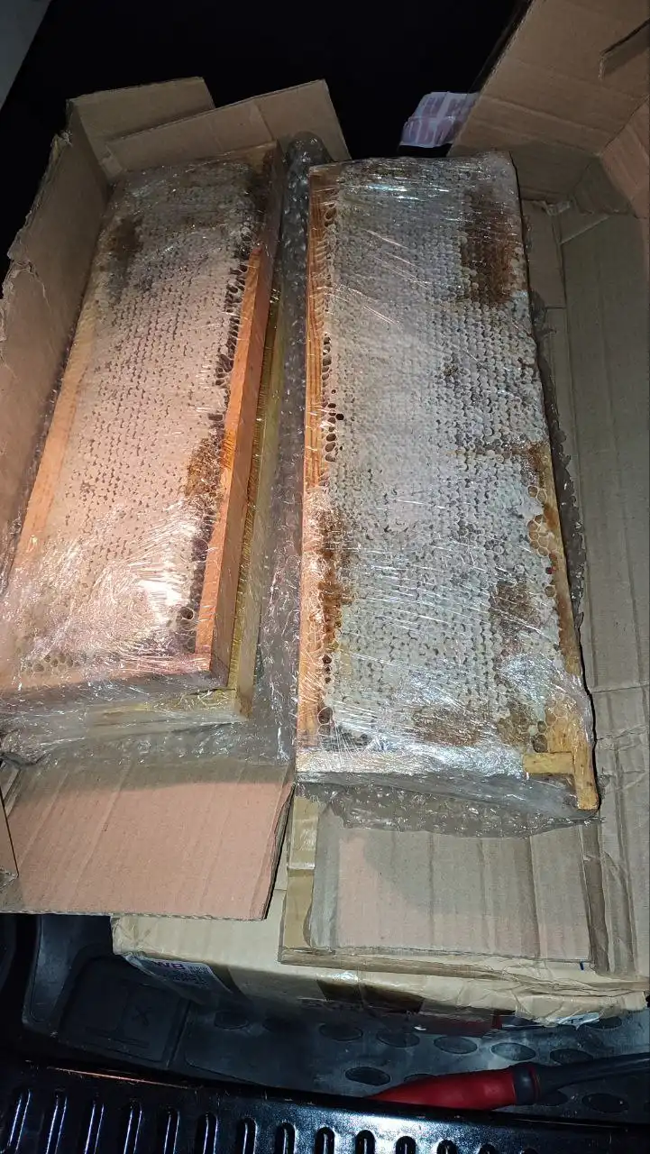 Продажа рамок с алтайским медом луговое разнотравье